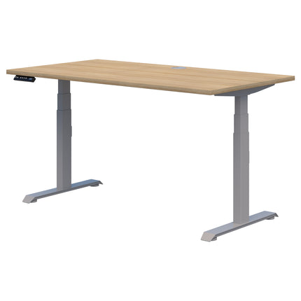 Rapid Premium Electric Desk