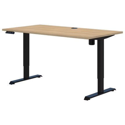 Rapid Electric Desk