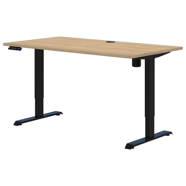 Rapid Electric Desk