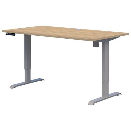 Rapid Electric Desk