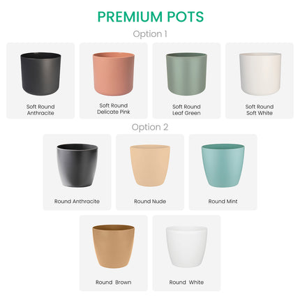 Connect Plant Wall - Premium Pots